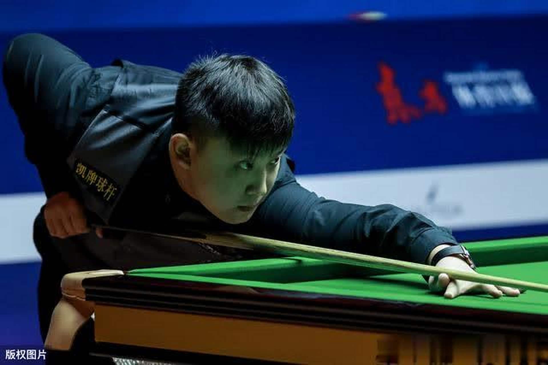 仅保护了个 仅保护了个