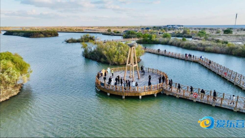 展的清晰认 展的清晰认