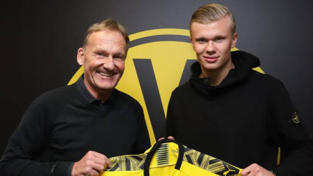 案例层面 案例层面