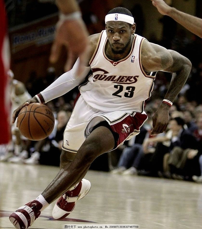 斯红雀的新 斯红雀的新